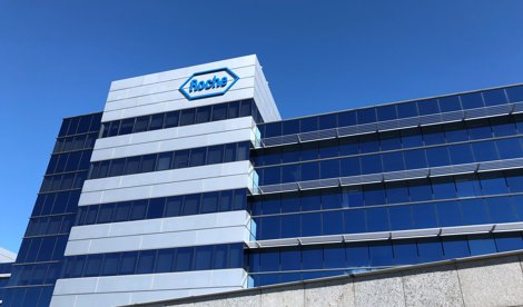 notibrasil sociedade