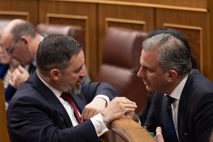 Archivo - El líder de VOX, Santiago Abascal (i) y el portavoz de VOX en el Ayuntamiento de Madrid, Javier Ortega Smith (d), durante una sesión plenaria, en el Congreso de los Diputados