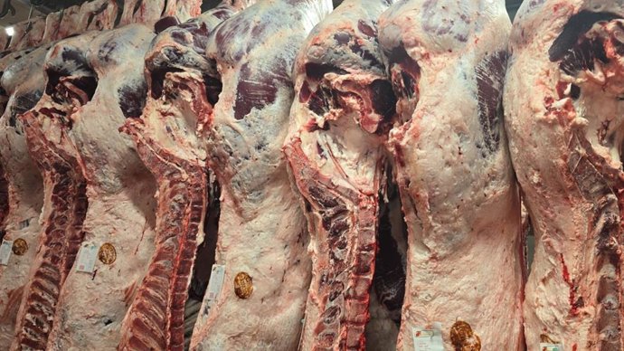 Archivo - Imagen de archivo de un matadero de Castilla y León.