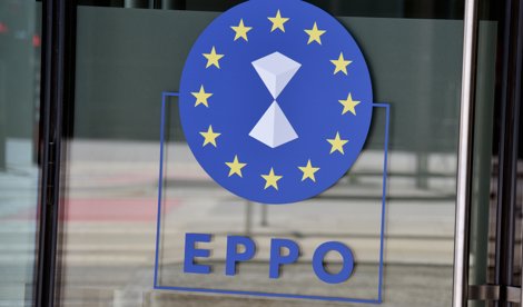 notibrasil sociedade