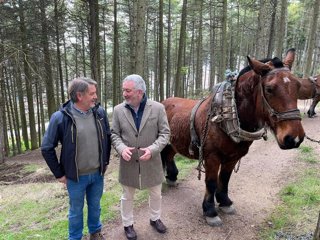 El Ayuntamiento de Burgos limpiará los árboles secos y la maleza en 450 hectáreas del Cinturón Verde