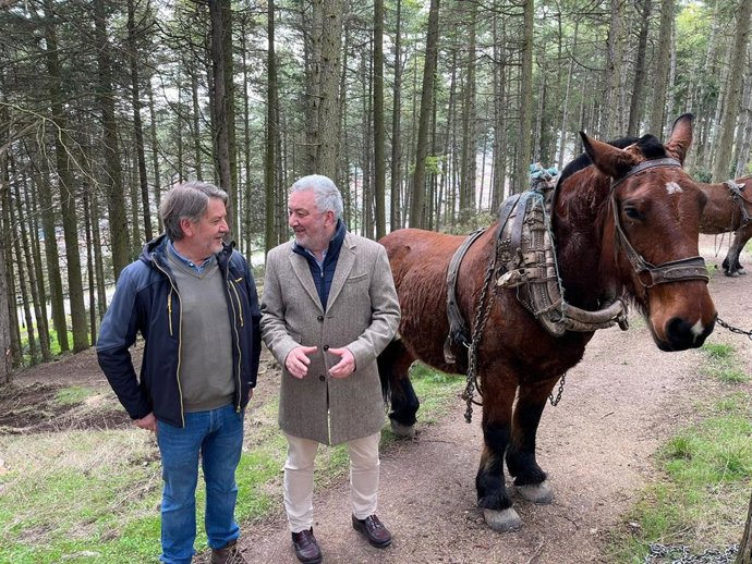El Ayuntamiento de Burgos limpiará los árboles secos y la maleza en 450 hectáreas del Cinturón Verde