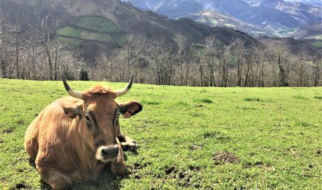 Asturias Rural