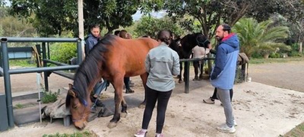 Salida de campo del alumnado del Máster en Intervención Asistida con Animales.