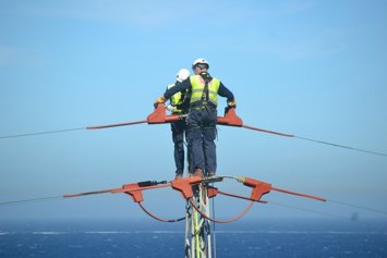 Endesa adapta en dos años 11.000 apoyos de la red eléctrica para proteger la avifauna.