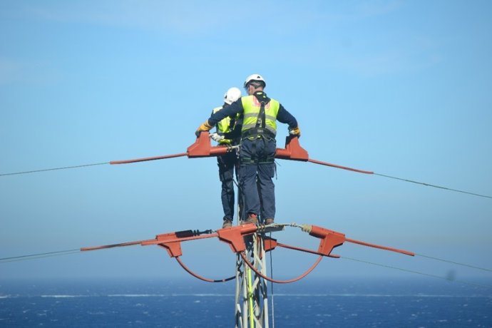 Endesa adapta en dos años 11.000 apoyos de la red eléctrica para proteger la avifauna.