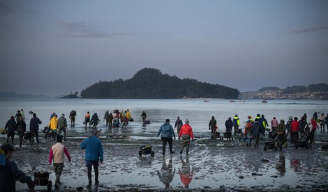 Pesca Galicia
