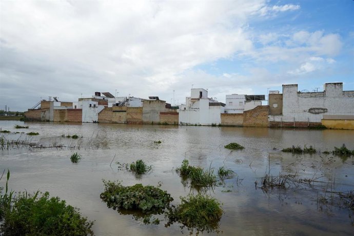 Archivo - Zonas inundada en El Palmar de Troya. Imagen de archivo. 