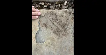 La Fundación Dinópolis sigue descubriendo huesos de reptil volador en el Jurásico de El Castellar (Teruel)