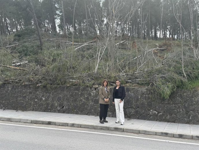 Carmen Lara (izda.), ante el pinar aledaño a la caretera N331A a su paso por Benamejí.