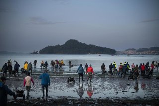 Mariscadores trabajan en la Playa de Lourido, a 3 de marzo de 2026, en Pontevedra, Galicia (España). Los temporales que han dejado intensas lluvias en los meses de enero y febrero en Galicia han provocado que la salinidad de las rías disminuya afectando a