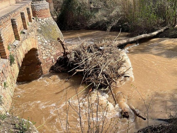 El río Jalón a su paso por Sabiñán (Zaragoza).