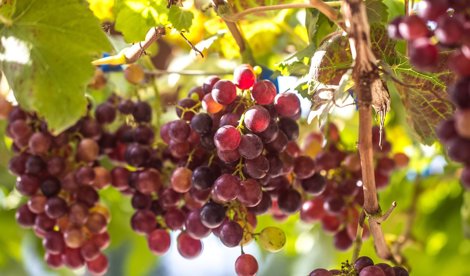 Es Andalucía - Córdoba