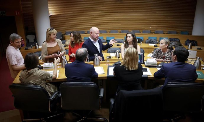 Comissió d'Investigació sobre les irregularitats comeses en el sector públic instrumental de la Generalitat Valenciana entre els anys 2016 i 2023