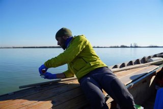 Toma de muestras en l'Albufera