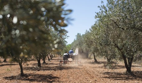 EpAgro - Agricultura