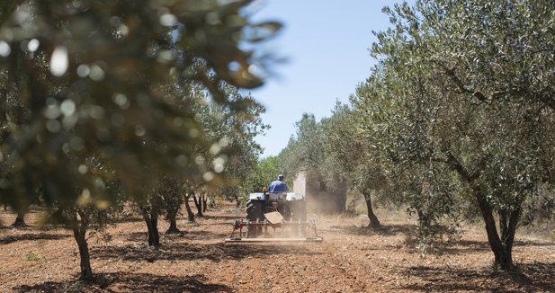 EpAgro - Agricultura