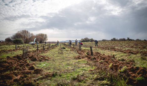 Comunicados Sociedad