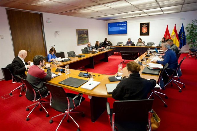 Iván Razquin en la comisión de investigación.