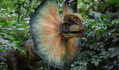 Comunicados Ocio y Deportes