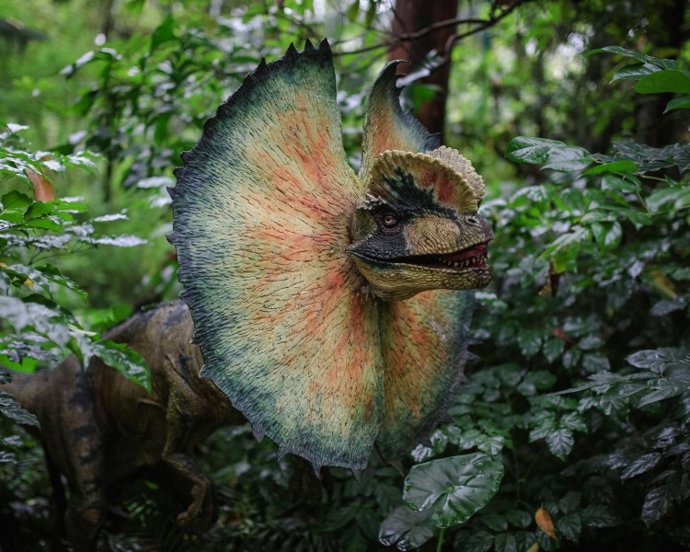 Dinolandia en El Bosque Encantado