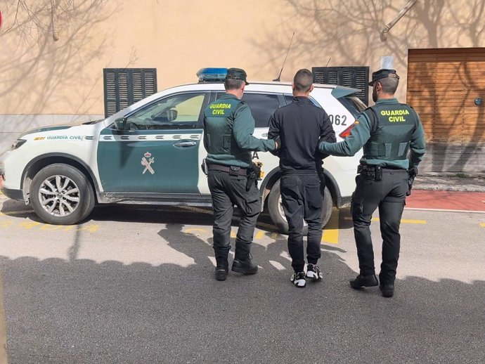 Dos detenidos por quedarse un coche de alquiler y robar en el interior de otros vehículos en miradores