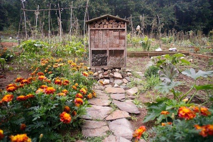 Archivo - Un hotel de insectos,  