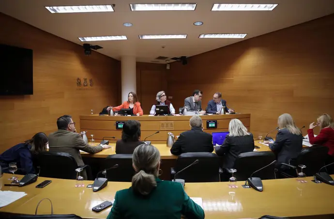 Comisión de Familia, Política Social e Igualdad de Les Corts