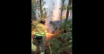 Las pruebas para 195 plazas de bombero forestal y 29 agentes del Medio Natural en Extremadura serán entre abril y mayo