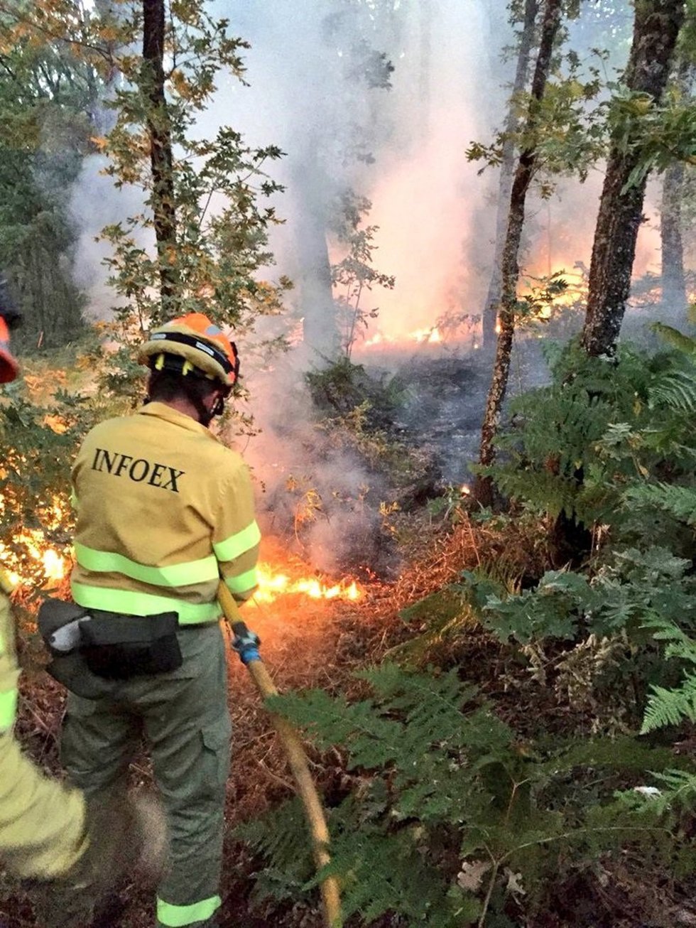 Bombero forestal