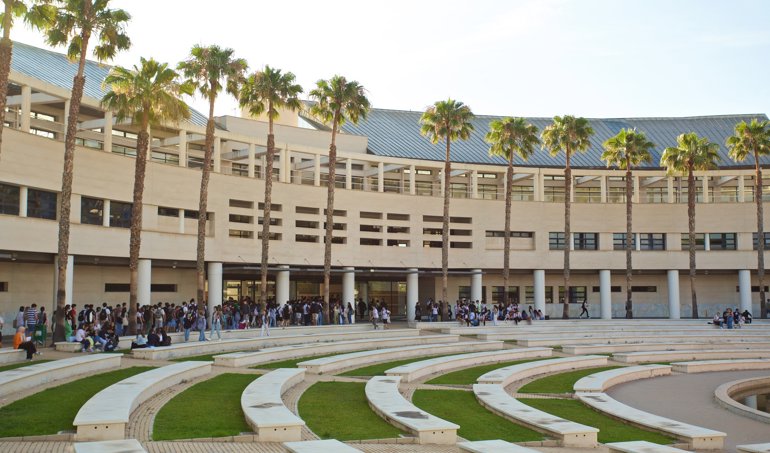 notibrasil sociedade