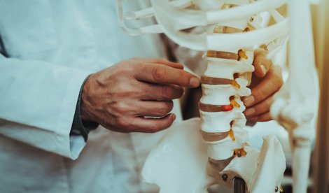 notibrasil sociedade