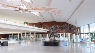 Archivo - Imagen del El T-Rex del Parque de las Ciencias de Granada. (Foto de archivo).