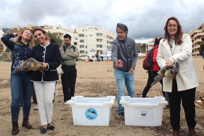 Sueltan dos tortugas bobas en la playa Punta del Raset de Dénia (Alicante)