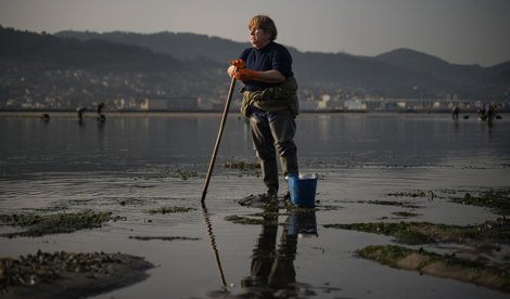 Pesca Galicia