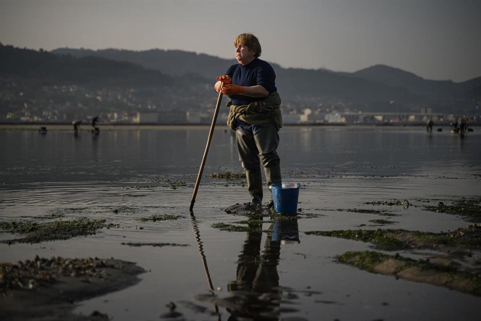 Una mariscadora trabaja en la Playa de Lourido, a 3 de marzo de 2026, en Pontevedra, Galicia (España). Los temporales que han dejado intensas lluvias en los meses de enero y febrero en Galicia han provocado que la salinidad de las rías disminuya afectan