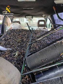 Vehículo intervenido durante el operativo.