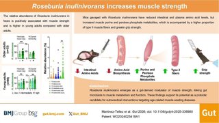 Gráfico de la investigación.