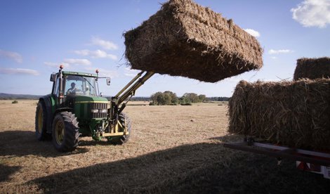 Galicia Rural