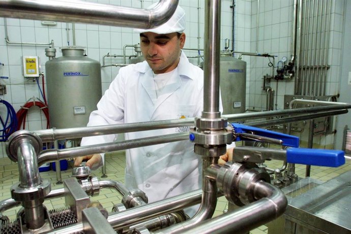 Archivo - Operario en factoría láctea
