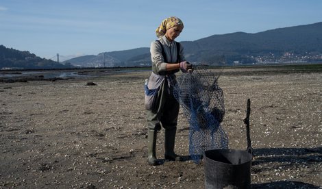 Pesca Galicia