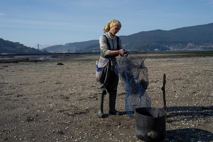 Archivo - Una mujer sujeta una red en la ensenada de San Simón, Rías Baixas, a 17 de noviembre de 2023, Pontevedra, Galicia (España). La mortandad del marisco se extiende por las rías gallegas tras un mes de tormentas y aperturas de presas que provocan un