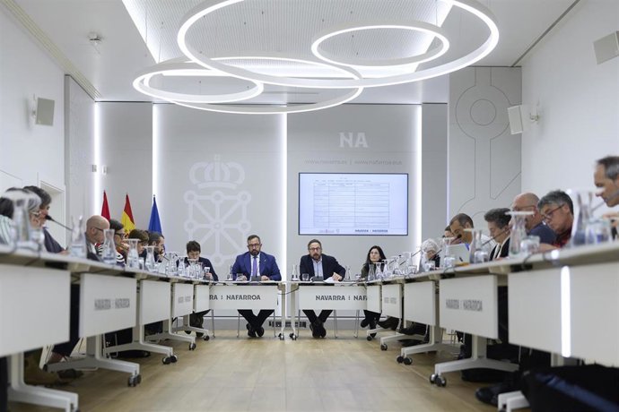 El vicepresidente Javier Remírez y Joseba Asiain, en la reunión del Consejo de Participación celebrada en el Palacio de Navarra