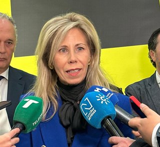 Archivo - La subdelegada del Gobierno en Huelva, María José Rico.