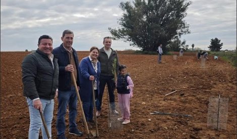 Es Andalucía - Sevilla