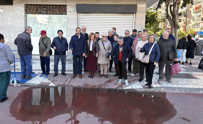 El portavoz municipal del PSOE, Daniel Pérez, junto con concejales socialistas