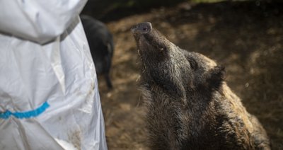EpAgro - Agricultura