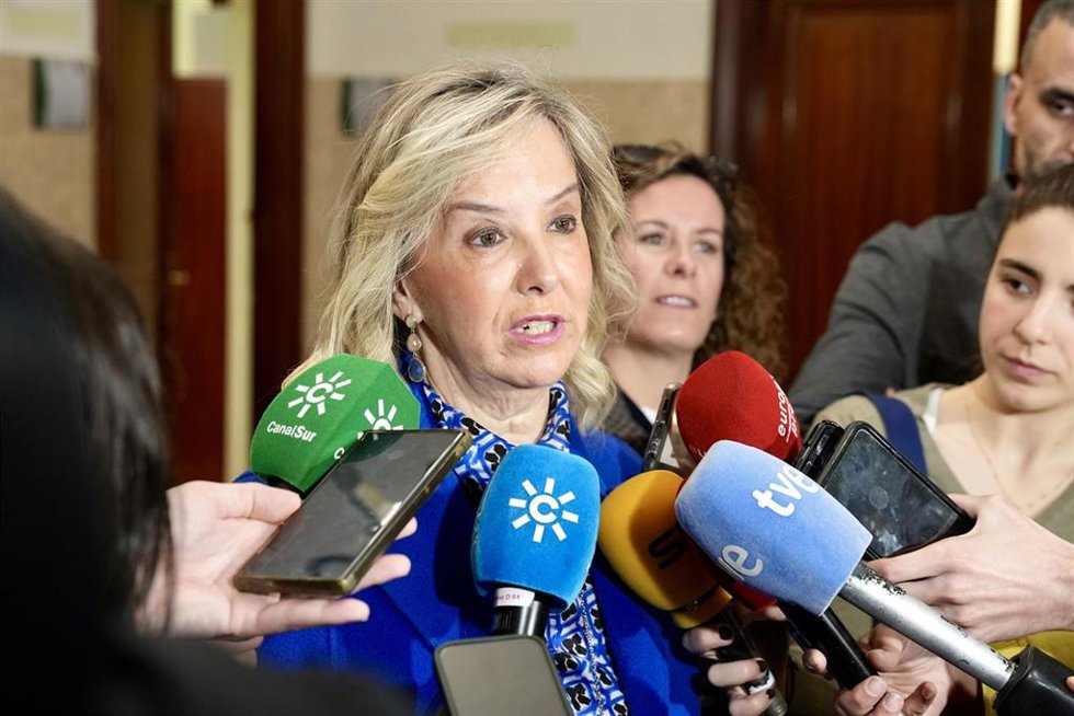 La fiscal superior de Andalucía, Ana Tárrago, tras la reunión de la Junta de Fiscales Jefes Provinciales y de Área, atiende a los medios. A 17 de febrero de 2026 en Sevilla, España.