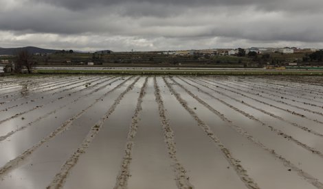 EpAgro - Agricultura