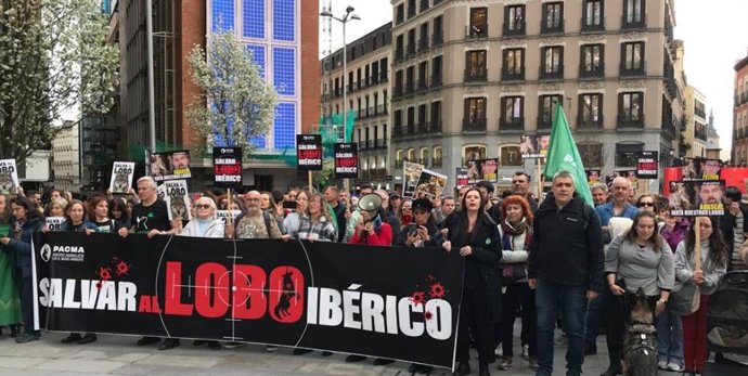 Manifestación en defensa del lobo ibérico